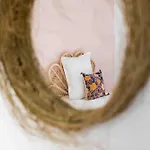 Coulmiers Bleu - Gare Sncf à 5 Min, Atypique&confort Apartamento Nantes